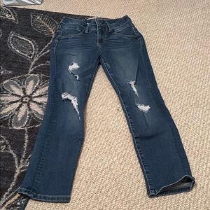 Distressed High Rise Skinny Jeans